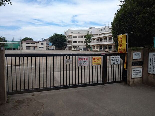 西東京市立東小学校(約542m)