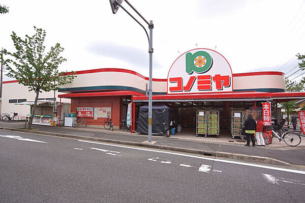 コノミヤ菅田店（約583m）