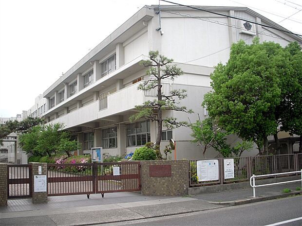 名古屋市立大江中学校(約741m)