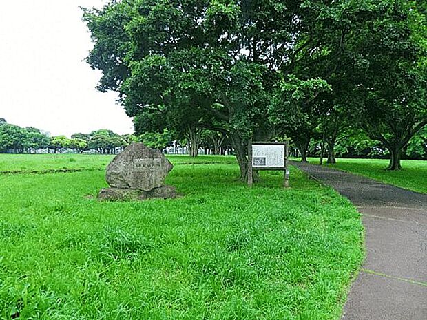 姥山貝塚公園（約393m）