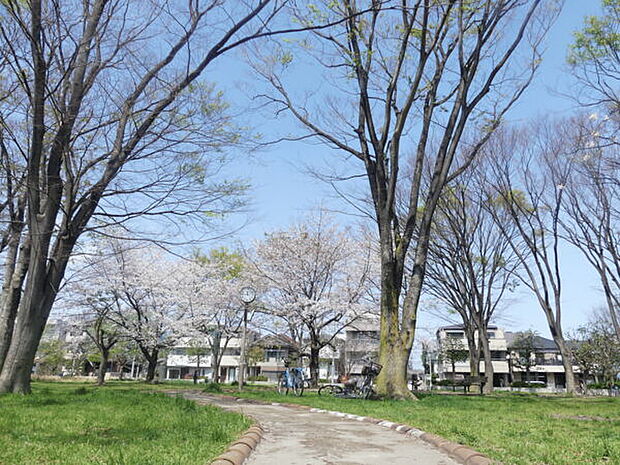 平間公園(約383m)