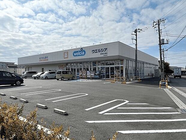 ウエルシア太田台之郷店（約1,256m）