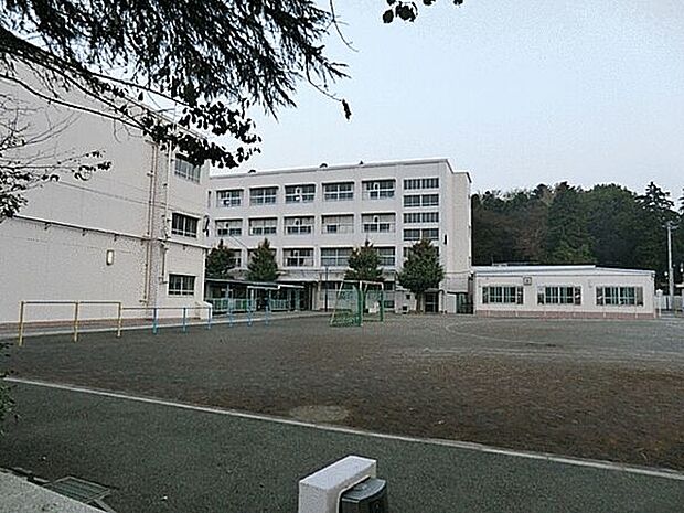 横浜市立岡津小学校（約251m）
