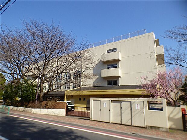 杉並区立宮前中学校（約579m）