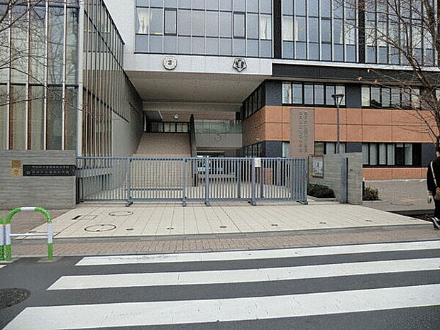 豊島区立池袋本町小学校（約494m）