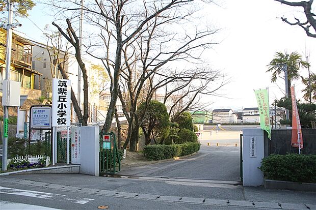 福岡市立筑紫丘小学校(約558m)