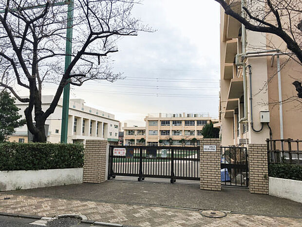 葛飾区立中之台小学校（約457m）