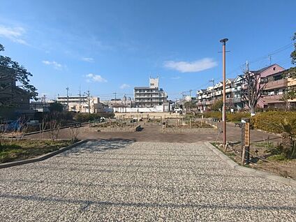金田南公園 983m