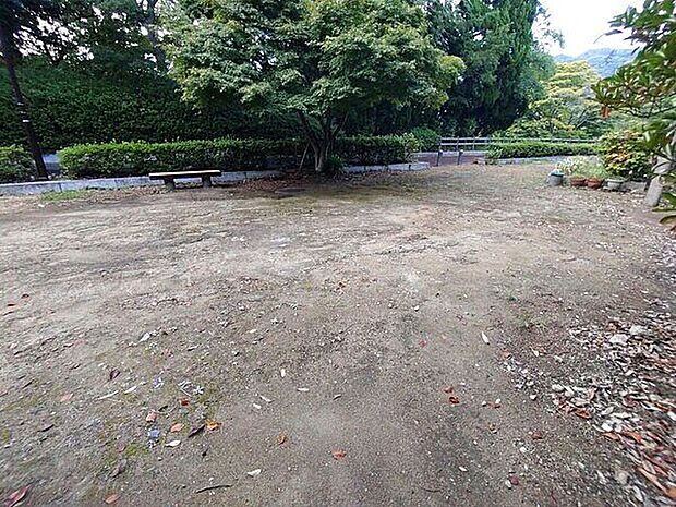 亀の甲広場(約343m)