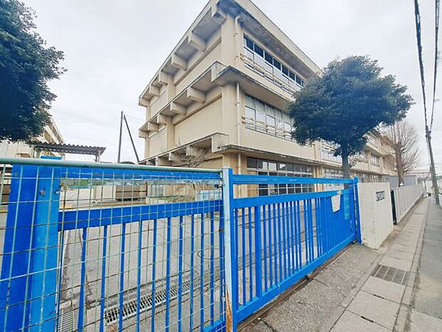 松戸市立矢切小学校（約496m）