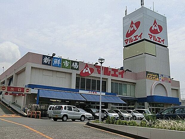 新鮮市場マルエイ薬円台店（約796m）