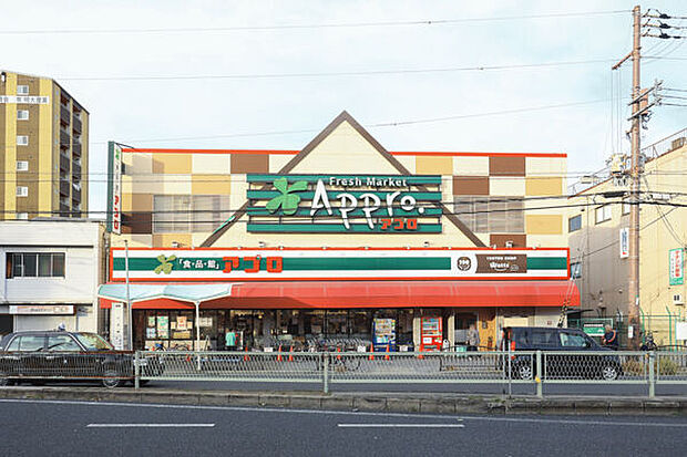 食品館アプロ大池橋店（約1,255m）