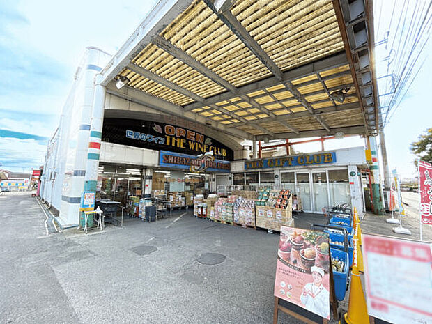 ビッグボス（約1,207m）