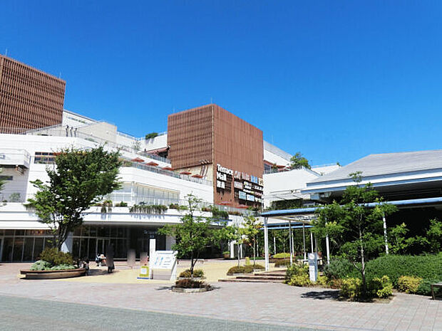 テラスモール湘南（約1,030m）