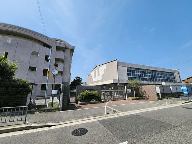 堺市立浜寺南中学校（約786m）