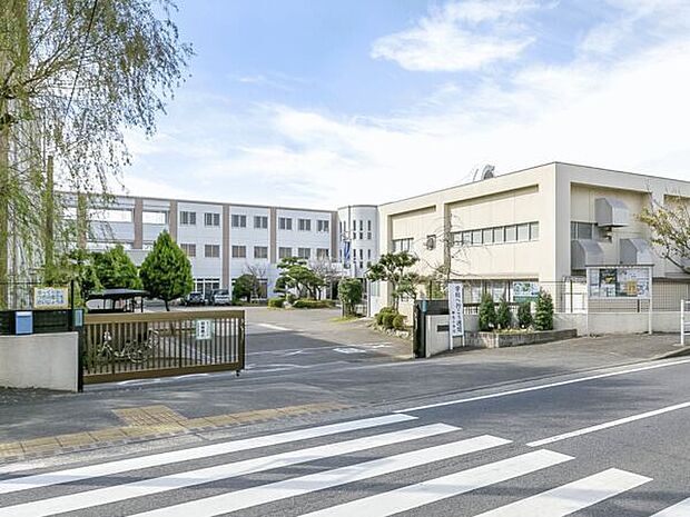 茅ヶ崎市立柳島小学校(約591m)