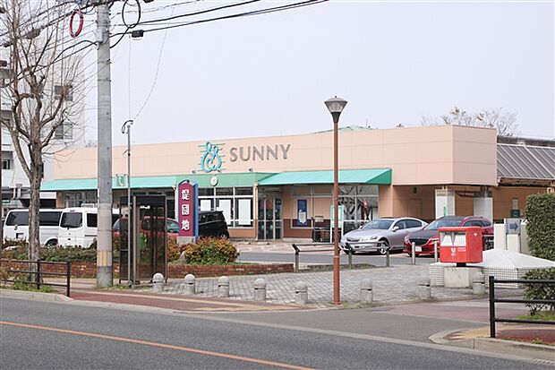 サニー堤店（約603m）