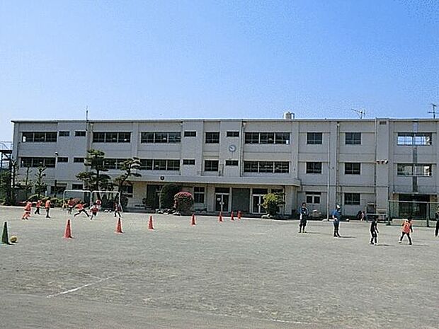 茅ヶ崎市立鶴嶺小学校(約442m)