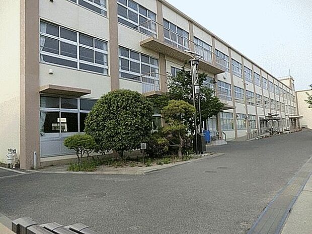 茅ヶ崎市立松浪中学校（約811m）