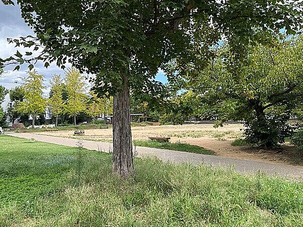 荒田公園(約147m)