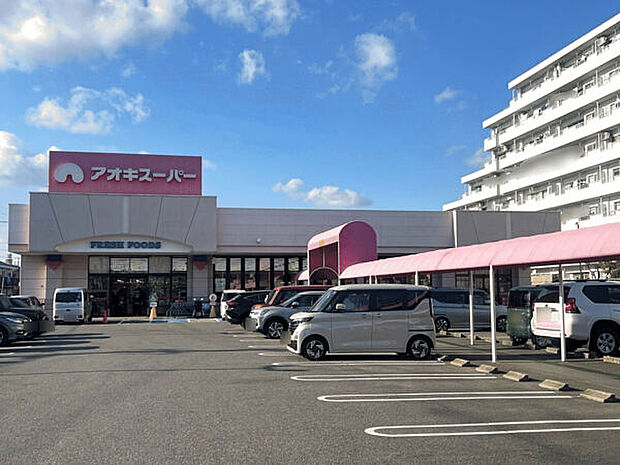 アオキスーパー六名店（約820m）