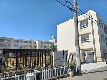 堺市立榎小学校 1528m