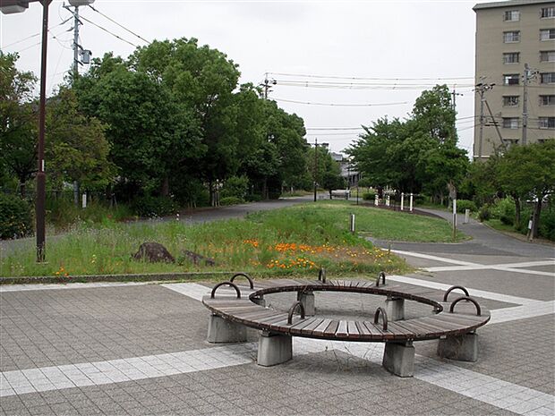 大将ヶ根緑地(約233m)