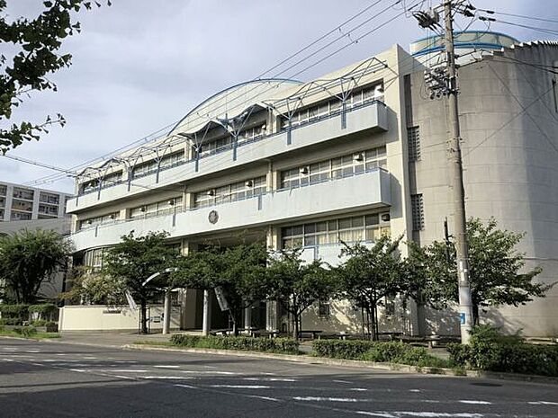 神戸市立魚崎中学校（約994m）