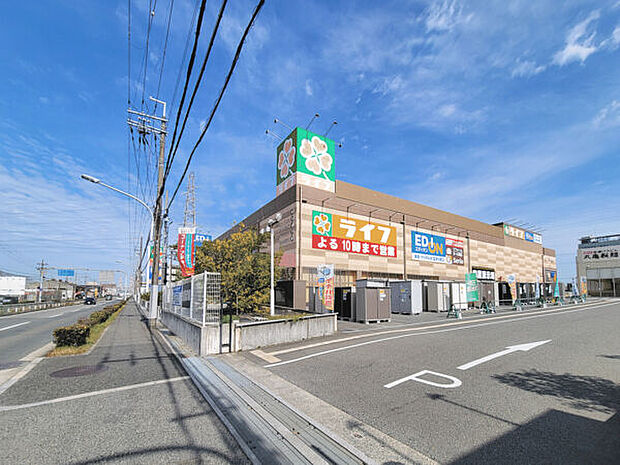 ライフ石津店（約750m）