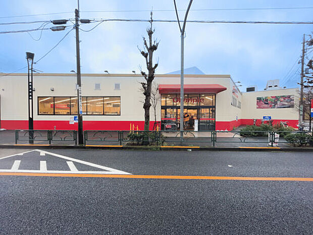 オリンピック柴又店（約282m）