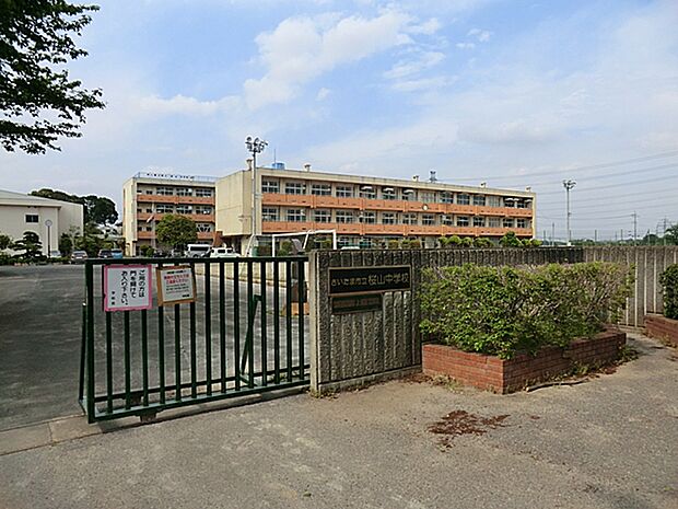 さいたま市立桜山中学校（約886m）