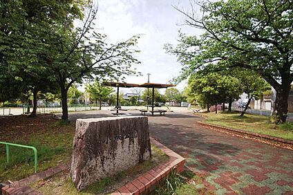小坂公園 246m