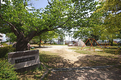 作の山公園 549m