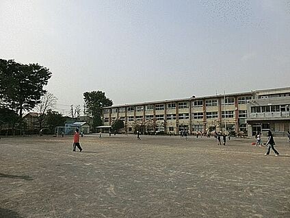 小金井市立前原小学校 719m