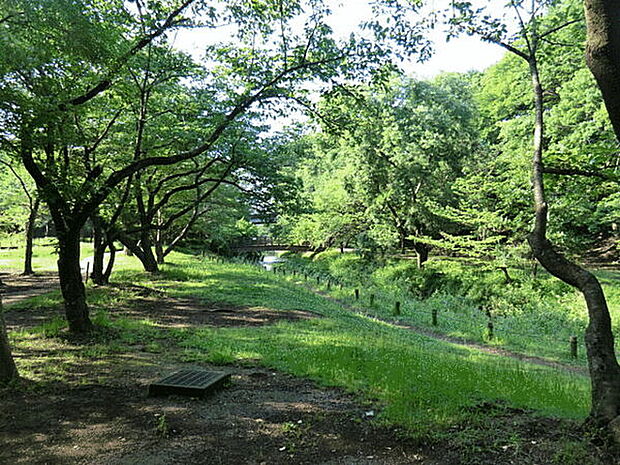 ふれあいの森（約1,556m）