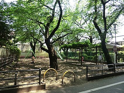 中町シダレザクラ公園 808m