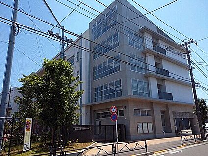 墨田区立立花吾嬬の森小学校 342m