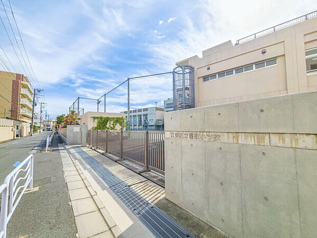 江東区立香取小学校（約514m）