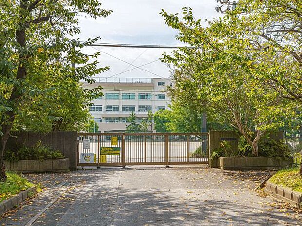 市川市立百合台小学校（約533m）