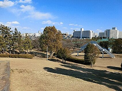 浦安市立入船小学校 563m
