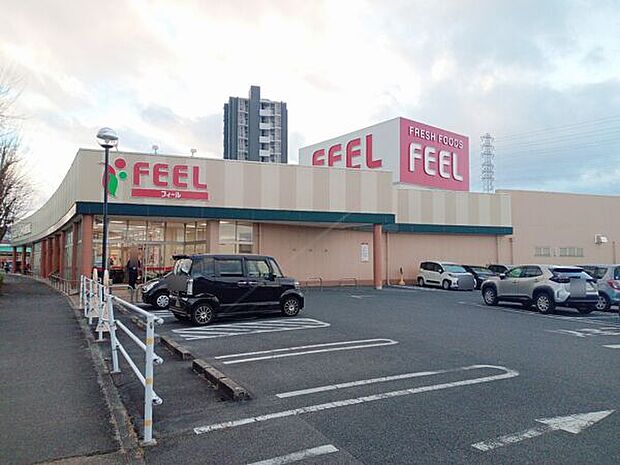 フィール岡崎柱町店（約913m）