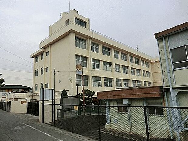 横浜市立相沢小学校（約520m）