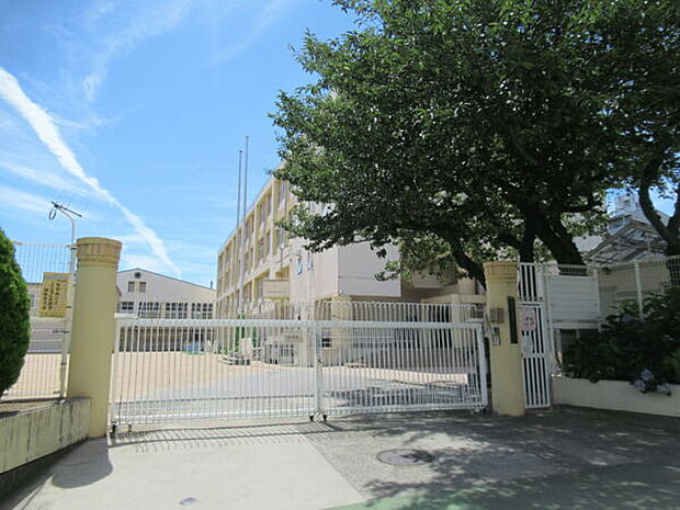 神戸市立西灘小学校（約160m）