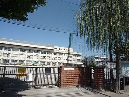 葛飾区立南綾瀬小学校 489m