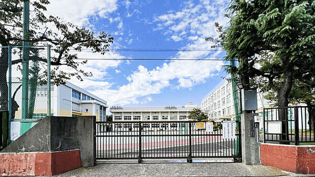 墨田区立寺島中学校（約548m）