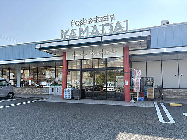ヤマダイ 瑞穂店（約324m）