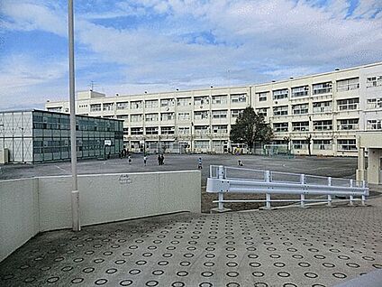 横浜市立本宿小学校 156m