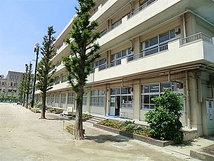 市川市立大洲小学校 980m