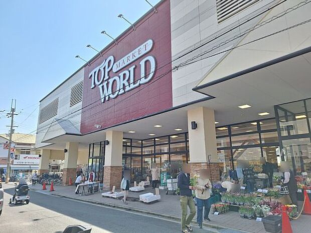 トップワールド富田店（約291m）