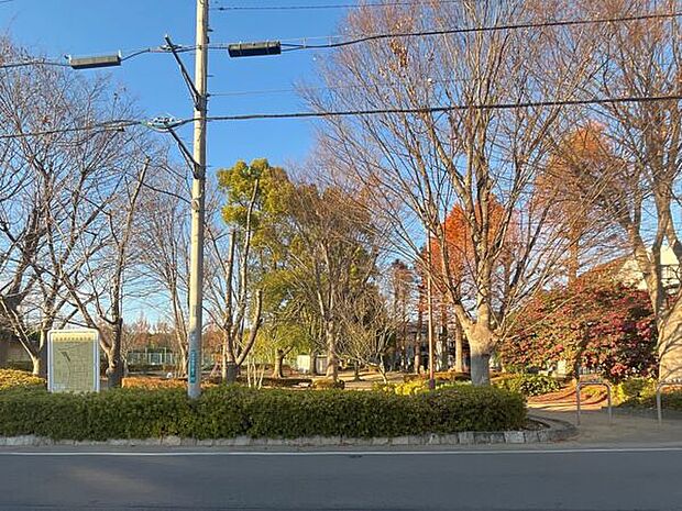 与野中央公園（約536m）